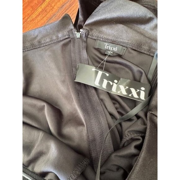 Trixxie New Feminine Velvet Sleeveless A-Line Satin Collar & Zipper Back Dress L - Picture 7 of 7